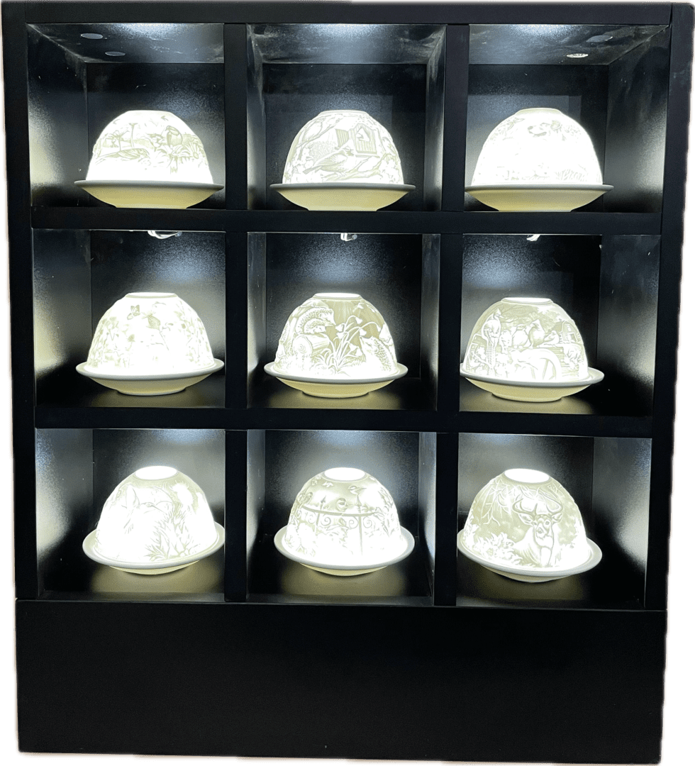 A display case with nine different lamps in it.